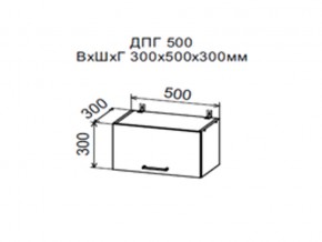 Шкаф верхний ДПГ500 горизонтальный в Кировграде - kirovgrad.магазин96.com | фото