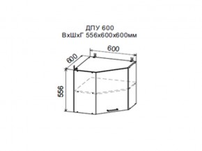 Шкаф верхний ДПУ600 угловой в Кировграде - kirovgrad.магазин96.com | фото